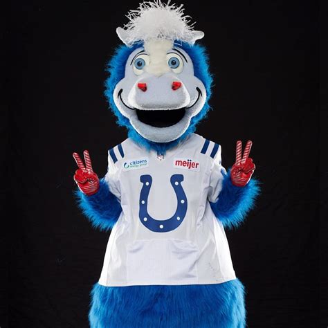 Blue outfit of the Colts mascot